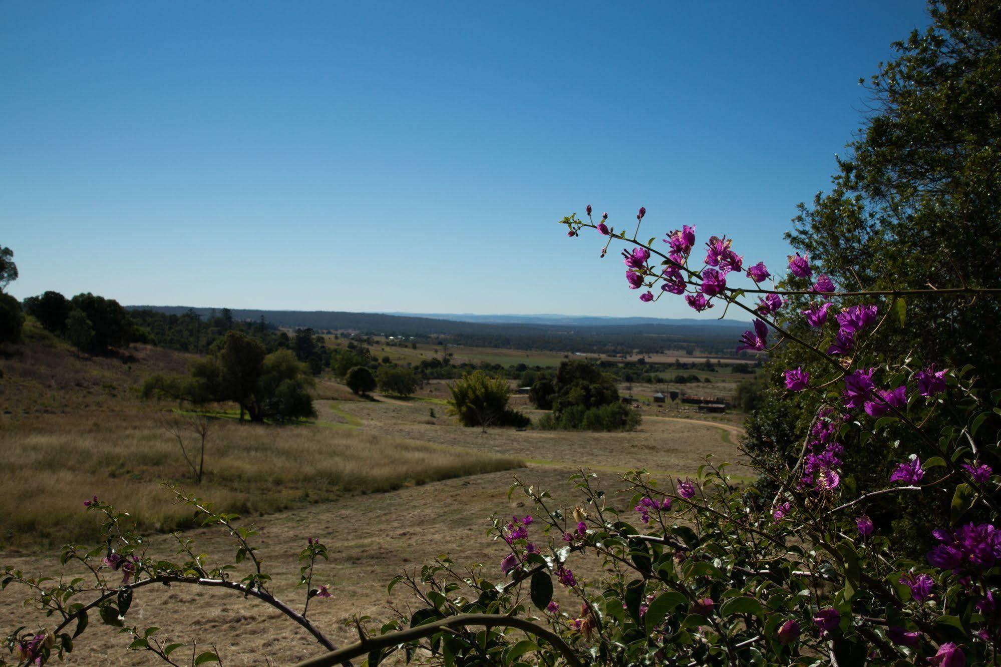 הוילה קינגארוי Deshons Retreat מראה חיצוני תמונה
